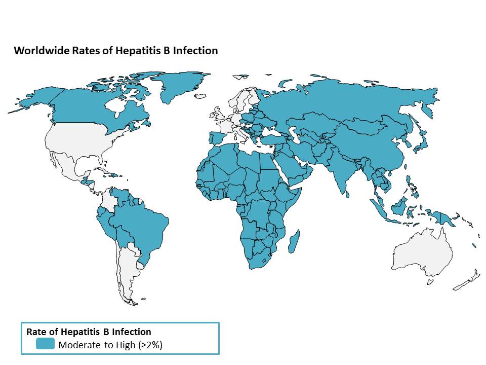 Hepatitismap.jpg