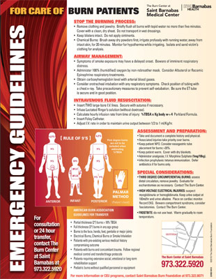 Guidelines For Care of Burn Patients
