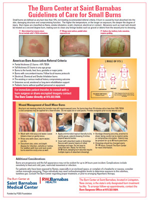 Guidelines of Care for Small Burns