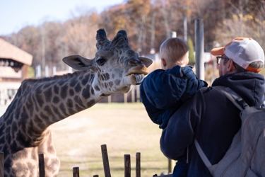 2024 RWJBarnabas Health’s Running with the Devils 5K Run & Walk Child with a Giraffe