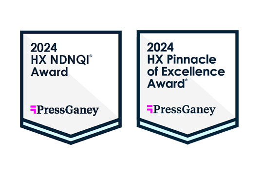 2024 Press GAney Pinnacle NDNQI Award Logos