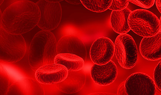 What is Anemia?