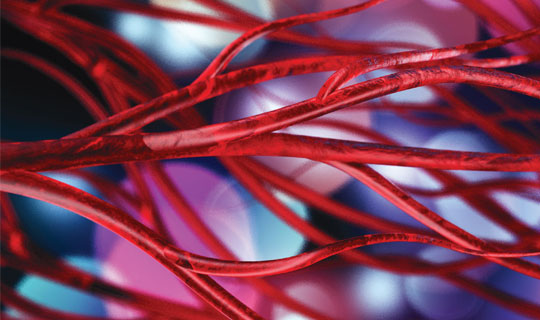 illustration of blood through small blood vessels