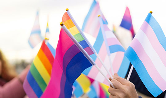people holding multiple LGBT pride, bisexual pride, and trans pride flags